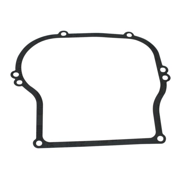 Briggs & Stratton Genuine Crankcase Gasket (692213 X 10)