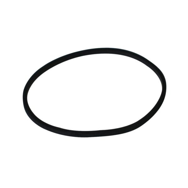 Briggs & Stratton Genuine Float Gasket (281165s X 5)