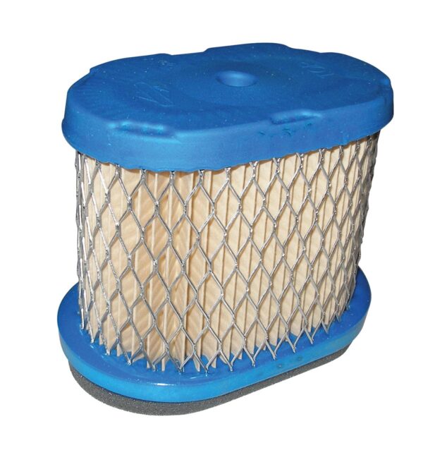 Briggs & Stratton Genuine Air Filter (697029 X 4)