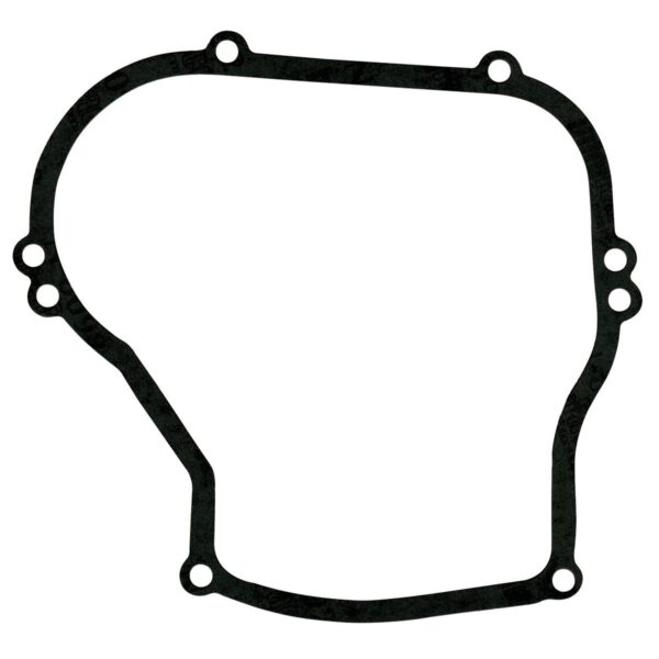 Briggs & Stratton Genuine Crankcase Gasket