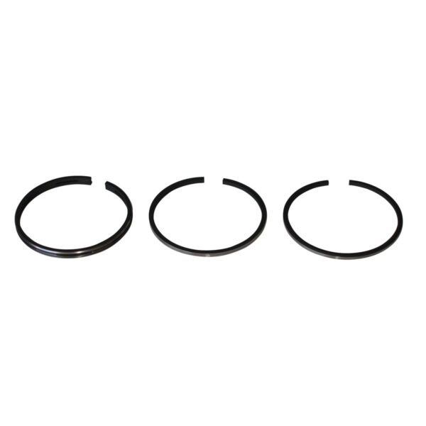 Briggs & Stratton Genuine Piston Ring Set