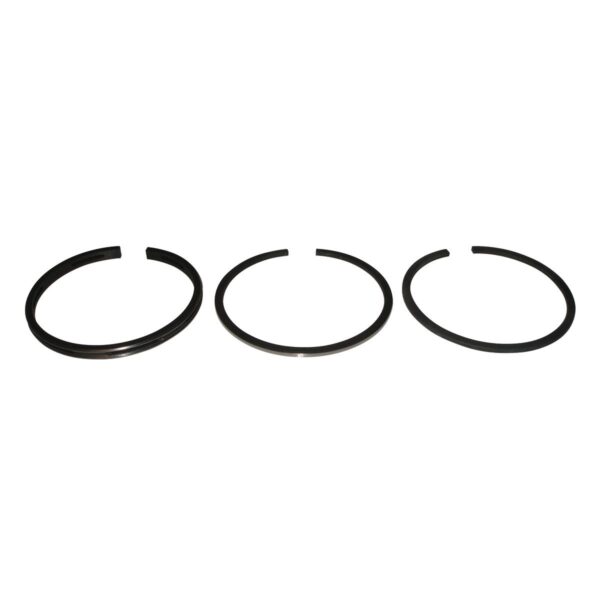 Briggs & Stratton Genuine Piston Ring Set