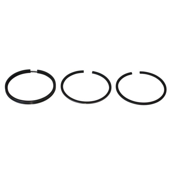 Briggs & Stratton Genuine Piston Ring Set