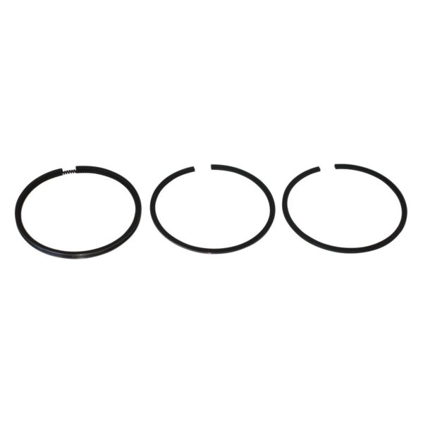 Briggs & Stratton Genuine Piston Ring Set