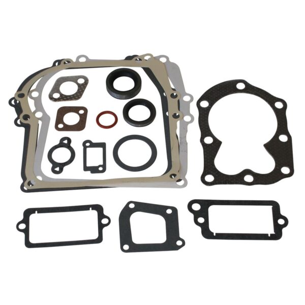 Briggs & Stratton Genuine Gasket Set (same As 794209)