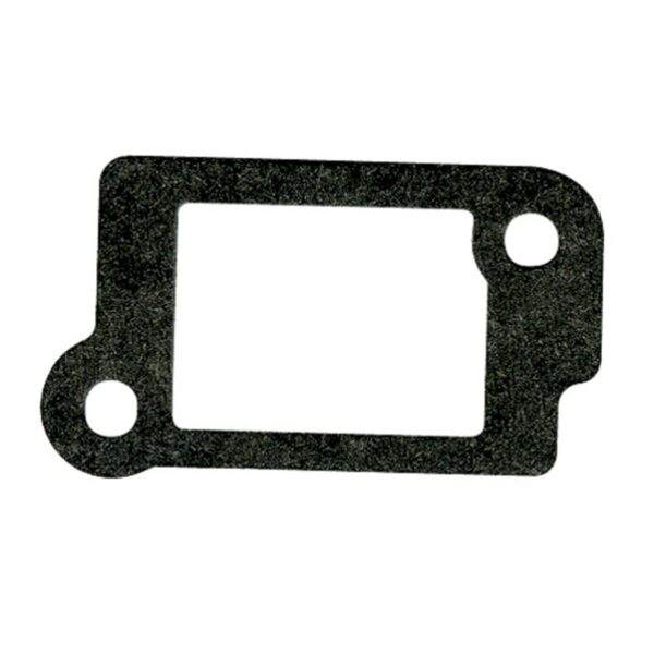 Briggs & Stratton Genuine Intake Gasket