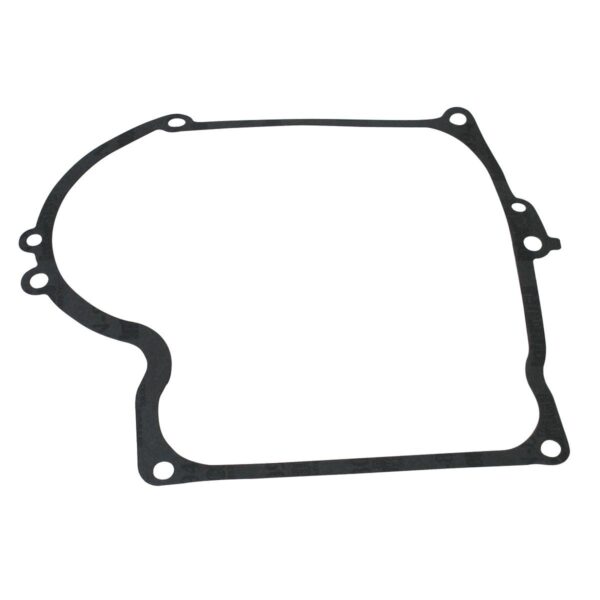 Briggs & Stratton Genuine Crankcase Gasket