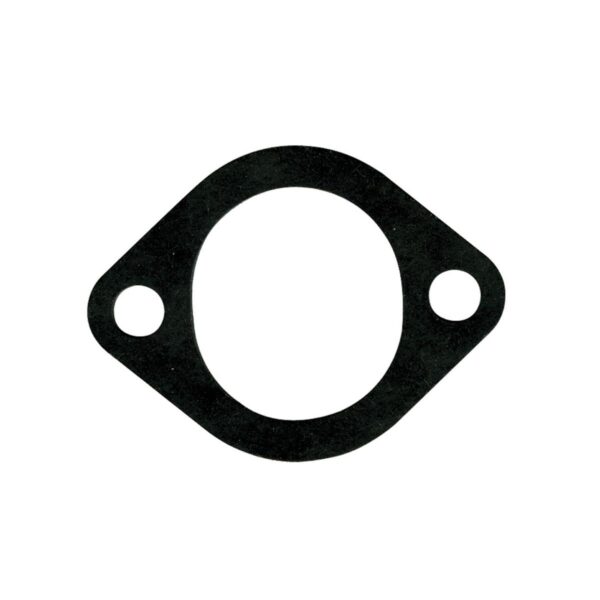 Briggs & Stratton Genuine Intake Gasket