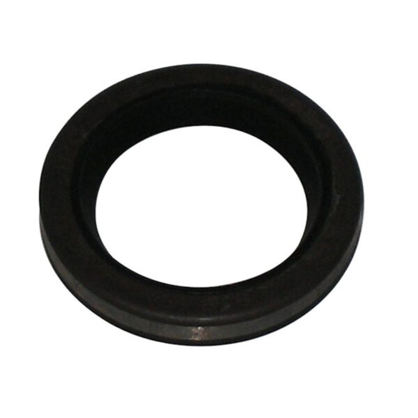 Briggs & Stratton Genuine Oil Seal