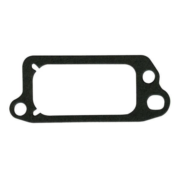 Briggs & Stratton Valve Cover Gasket 272481 10 Pk