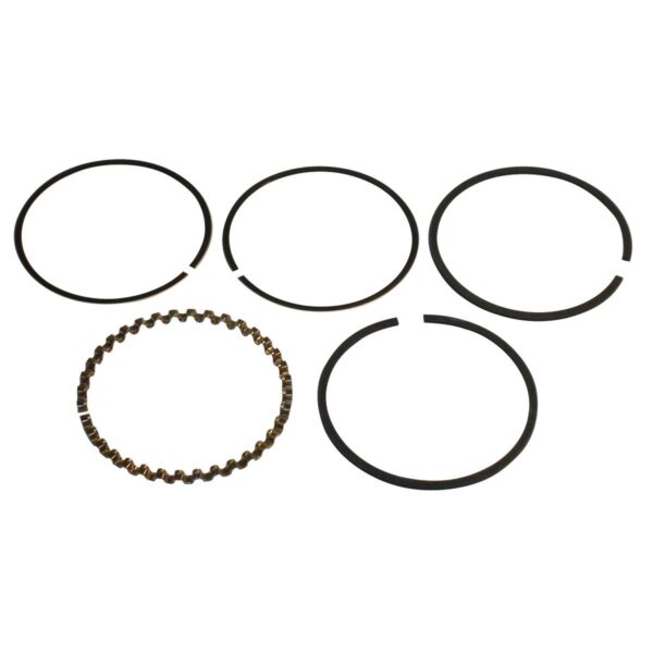 Briggs & Stratton Ring Set 493261