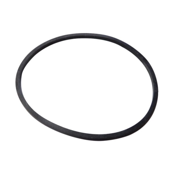 Briggs & Stratton Carburettor Bowl Gasket 281165s