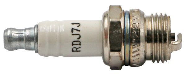 Champion Spark Plug - 4 Pack