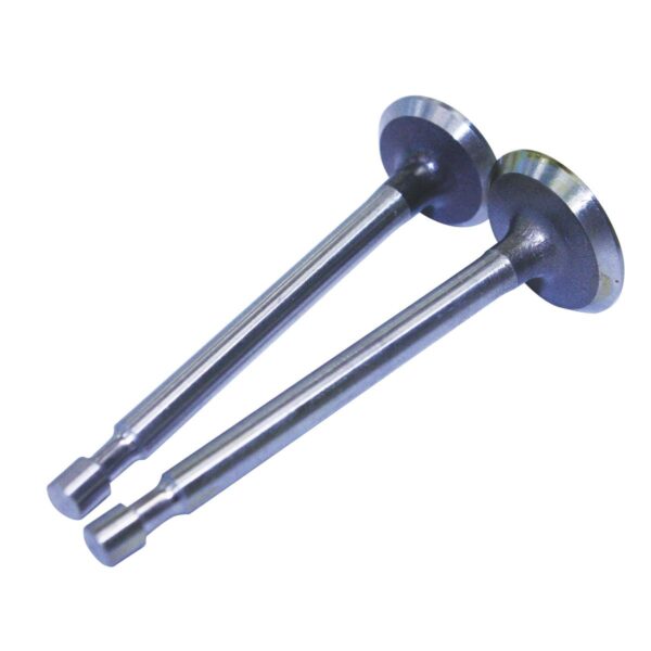 Robin Intake/exhaust Valve - Robin Ey20