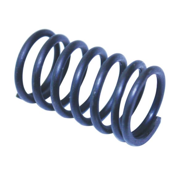 Robin Valve Spring - Robin Ey20